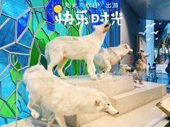 -1868 Café(自然博物馆店)
