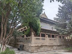 -张掖大佛寺景区