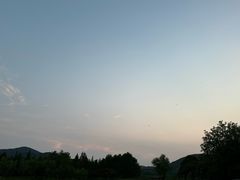 -长广溪湿地公园