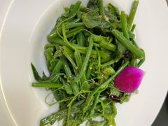 -鸽鸽小垸(长椿街店)