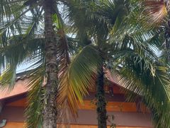 -海南文笔峰盘古文化旅游区