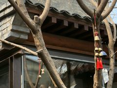 -VOYAGE COFFEE(杨梅竹店)