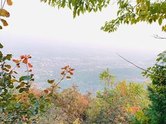 -北京西山国家森林公园