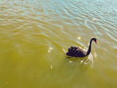 -南大港湿地风景区