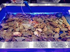-SEA西雅图海鲜自助餐厅(正义店)