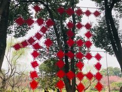 -无锡梅园公园
