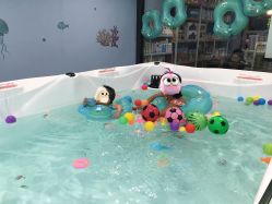 -香港3861婴幼儿游泳馆(东海商务中心店)