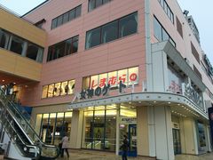 -台场海滨公园船码头