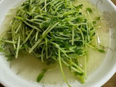 -沈记菜馆(酒仙桥路店)