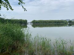 -大兴滨河森林公园