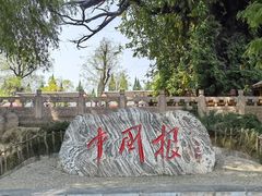 -大槐树寻根祭祖园