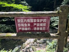 -牛背梁国家森林公园