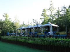 -林栖谷森林康养度假区