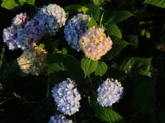 -常州古运河南大街文化旅游区-人民公园