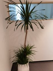 -吾之瑜生瑜伽普拉提学院