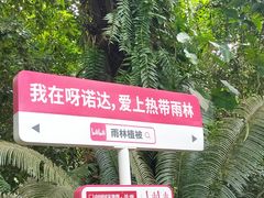-呀诺达热带雨林