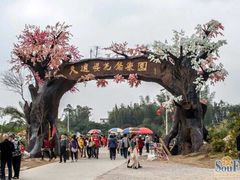 -天适樱花悠乐园