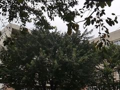 -西南政法大学(渝北校区)