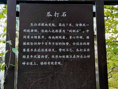 -阳台山自然风景区