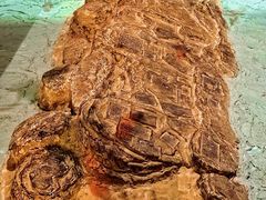 -白鹤梁水下博物馆