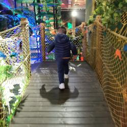 点击看大图 -恐龙探索乐园(磁器口店)