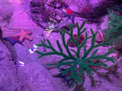 -沈阳海洋探索中心