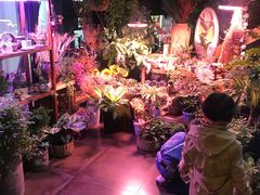 -莫太花餐厅(河北路店)