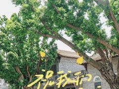 -豆豆冰室·地道招牌椰子冻(大良店)