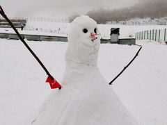 -太子岭滑雪场