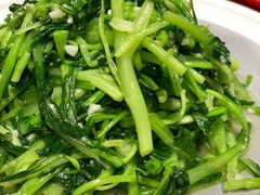 蒜茸鸡毛菜-鸽子窝(宋庄店)