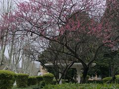 -浙江大学(玉泉校区)