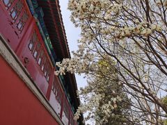 -大钟寺古钟博物馆