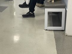 -中国农业大学动物医院