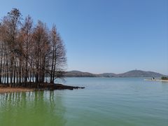 -无锡蠡湖国家湿地公园-蠡园