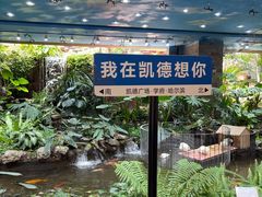 -凯德广场(学府店)
