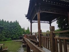 -溱湖国家湿地公园