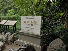 -西湖外事游船(花港观鱼码头)