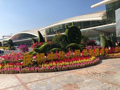 -国际邮轮中心码头(厦鼓码头)