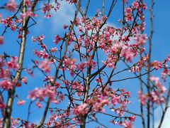 -观澜湖生态运动公社