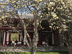 -大慈恩寺(大雁塔)