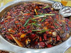 -乡土特色.冷锅鱼.牦牛肉汤锅