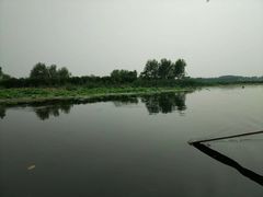 -白洋淀景区