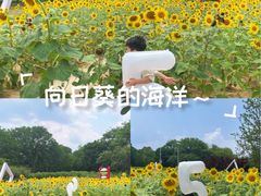 -郑州植物园