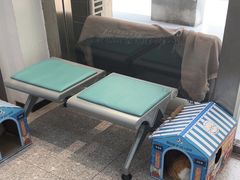 -四月宠物医院·猫专科·心脏专科·内科(转塘店)