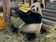 -杭州野生动物世界
