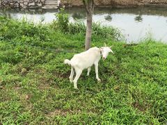 -乡乐园蟹庄·阳澄湖农家乐