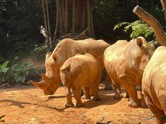 -石家庄市动物园