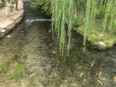 -水磨沟公园