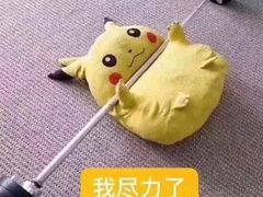 -明升萝卜汤