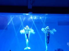 -芜湖新华联大白鲸海洋公园